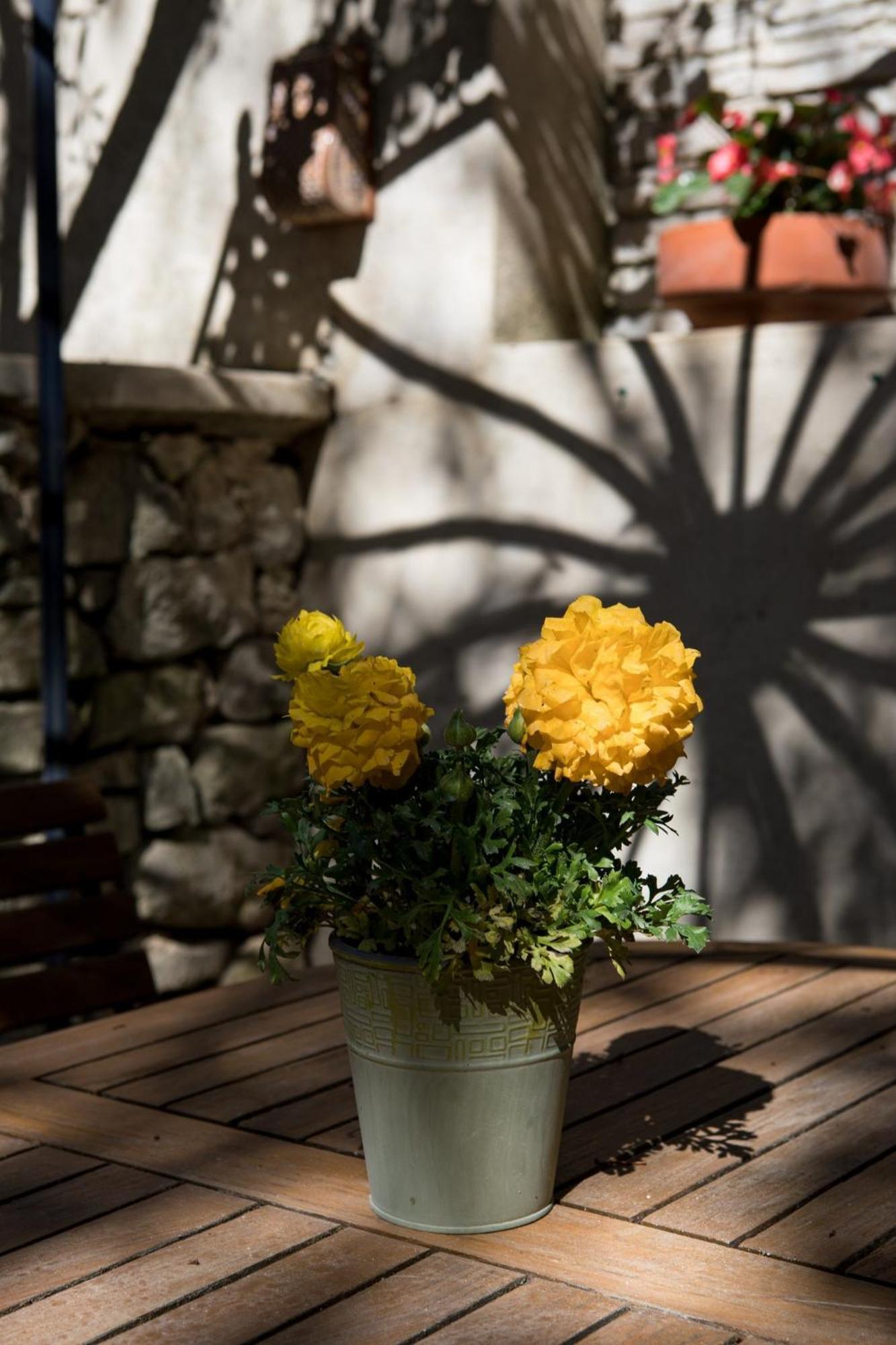 In Provence Hotel - Experience Atypique ヴネル エクステリア 写真